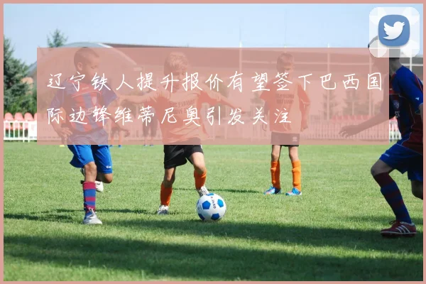 辽宁铁人提升报价有望签下巴西国际边锋维蒂尼奥引发关注